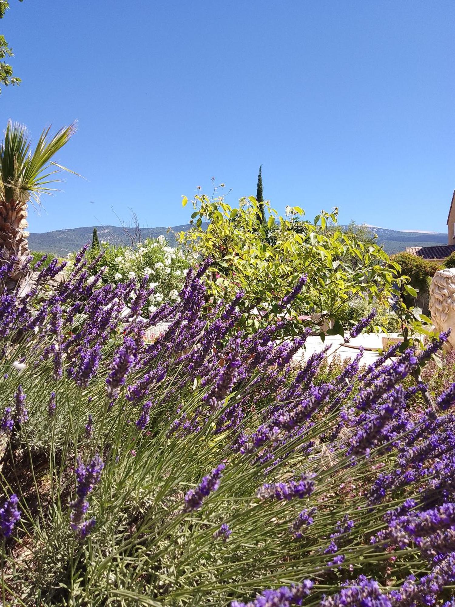 Les Gites Du Mont Ventoux Bedoin Bagian luar foto