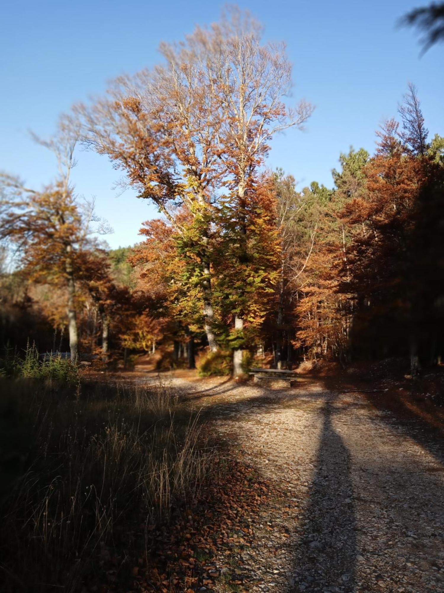 Les Gites Du Mont Ventoux Bedoin Bagian luar foto