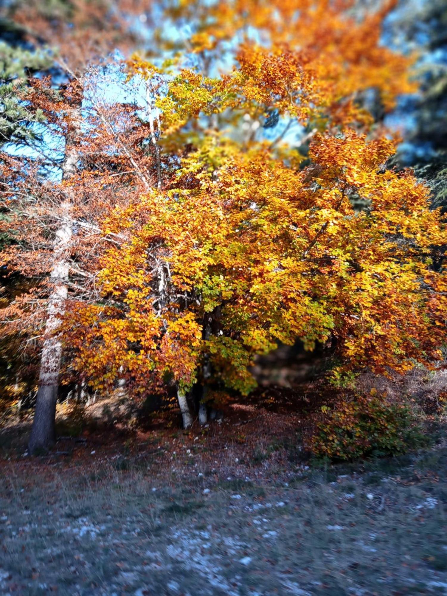 Les Gites Du Mont Ventoux Bedoin Bagian luar foto