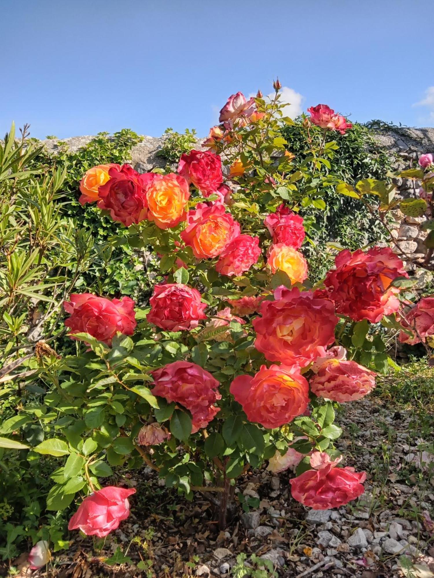 Les Gites Du Mont Ventoux Bedoin Bagian luar foto
